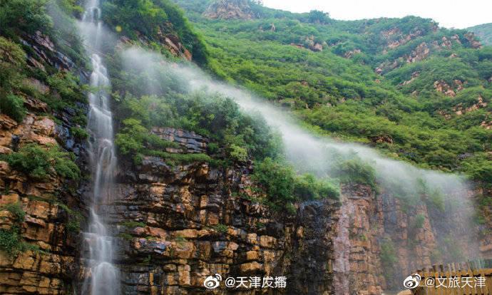 排骨都和哪些东西可以一起煲汤